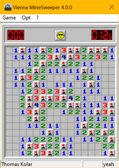 A completed intermediate game on Vienna MineSweeper